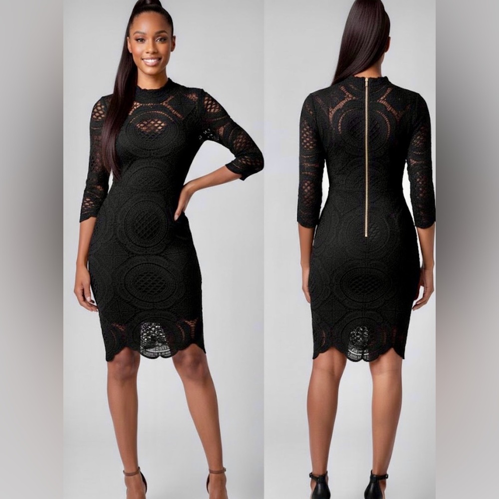 Chic Black Lace Long Sleeve Dress